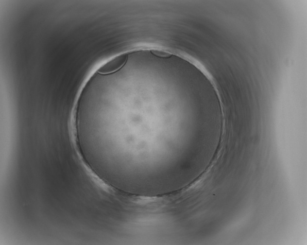 X0000112761056200908201434