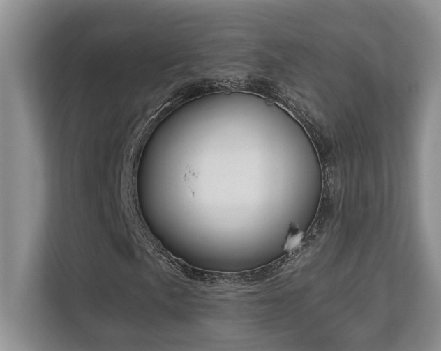 X0000112761057200908201433