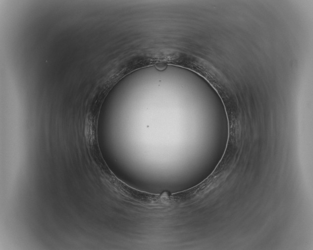X0000112761058200908201433
