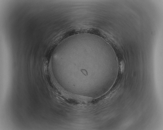X0000112761059200908201433