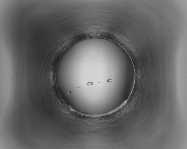 X0000112761060200908201433