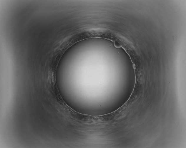 X0000112761061200908201433