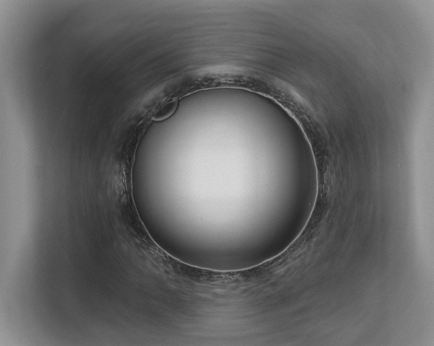 X0000112761062200908201433