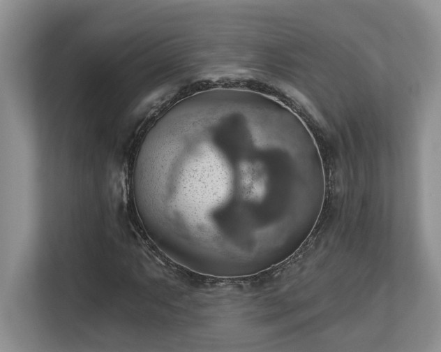 X0000112761063200908201433