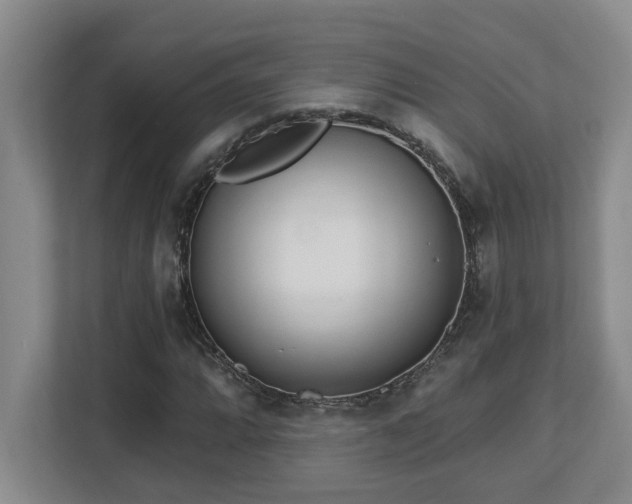 X0000112761064200908201433