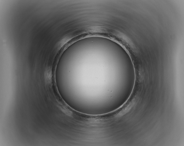X0000112761065200908201433