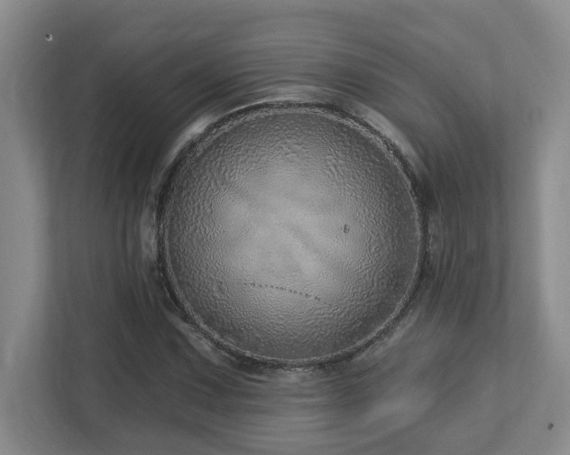 X0000112761067200908201433