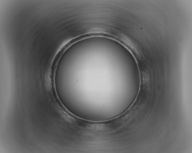X0000112761068200908201433