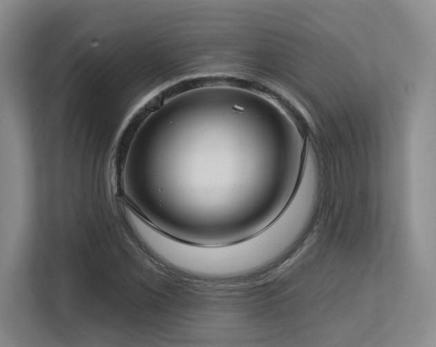 X0000112761069200908201433