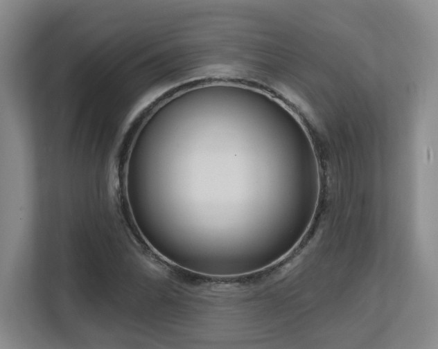 X0000112761070200908201433