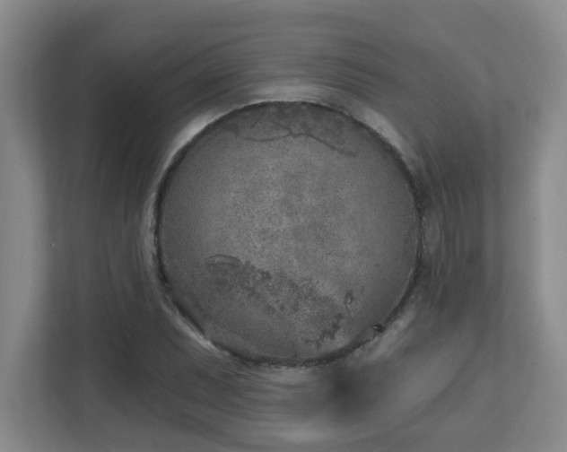 X0000112761071200908201433