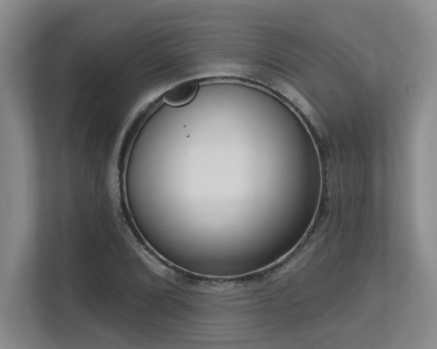 X0000112761072200908201433