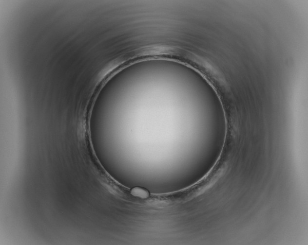 X0000112761073200908201433
