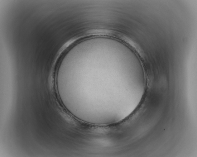 X0000112761074200908201433