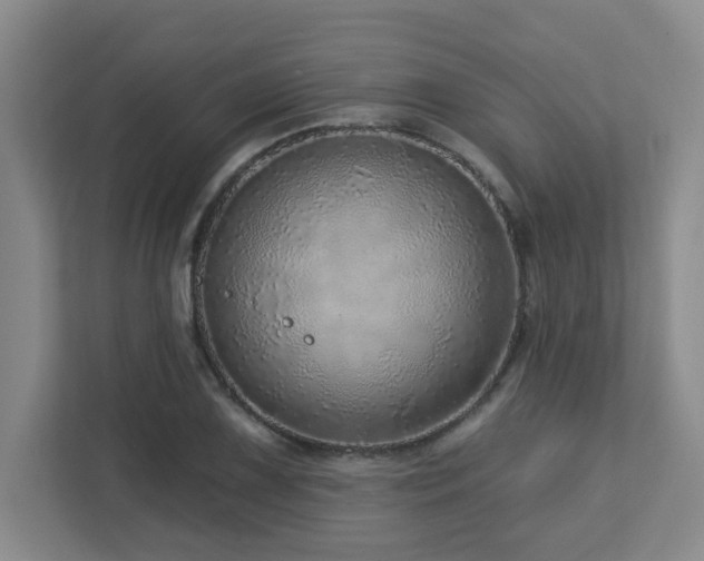 X0000112761075200908201433