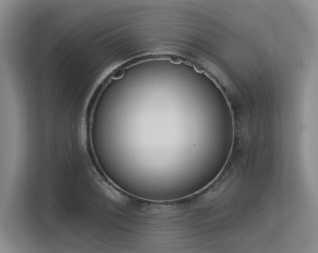 X0000112761076200908201433