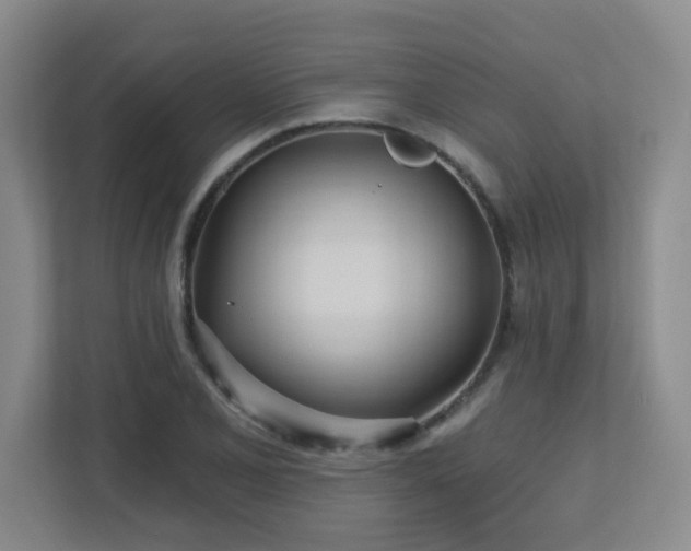 X0000112761077200908201433