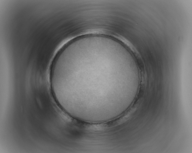 X0000112761078200908201433