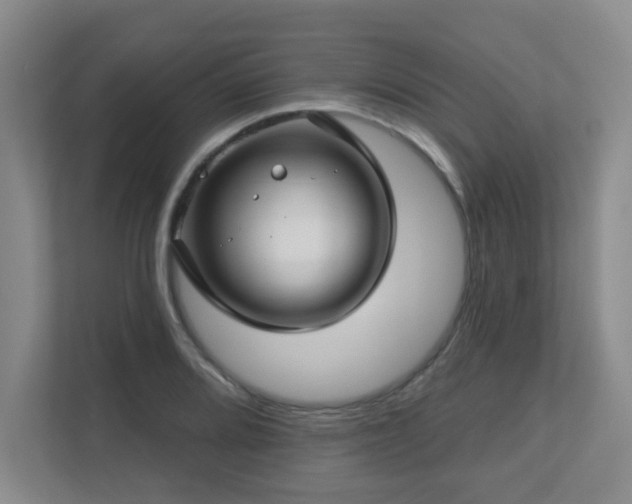 X0000112761080200908201433