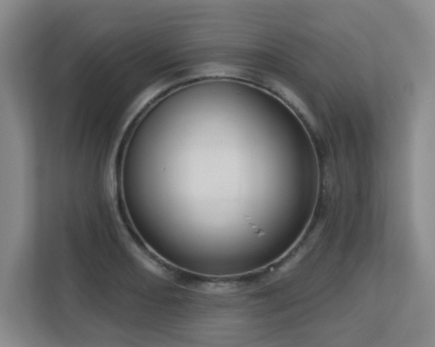 X0000112761082200908201433