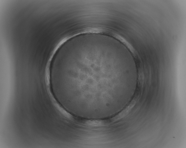 X0000112761083200908201433