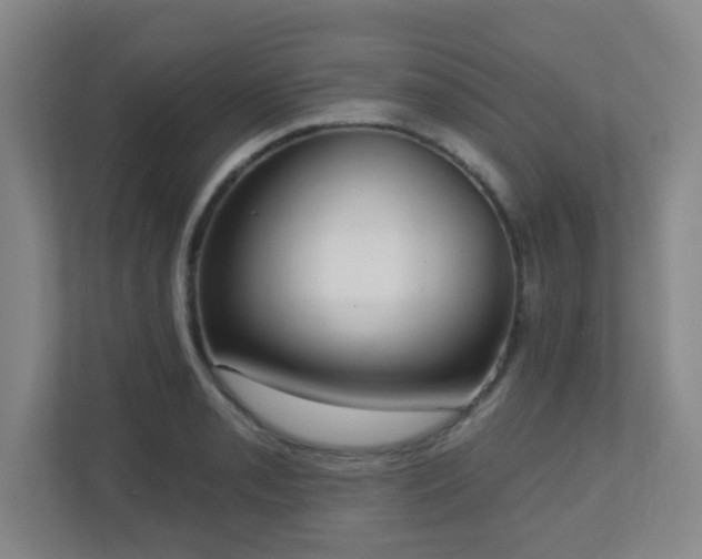 X0000112761085200908201433