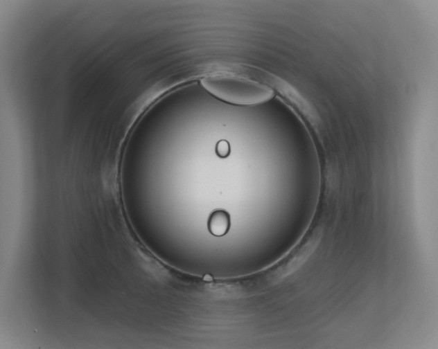 X0000112761089200908201433