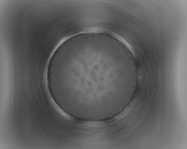 X0000112761091200908201433