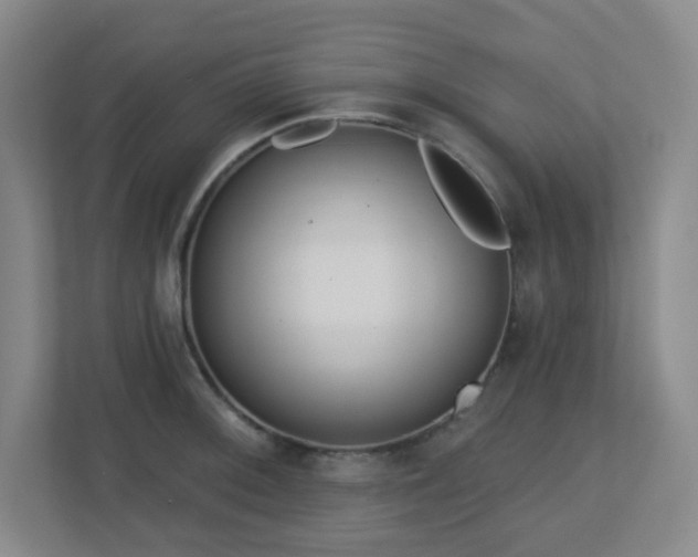 X0000112761092200908201433