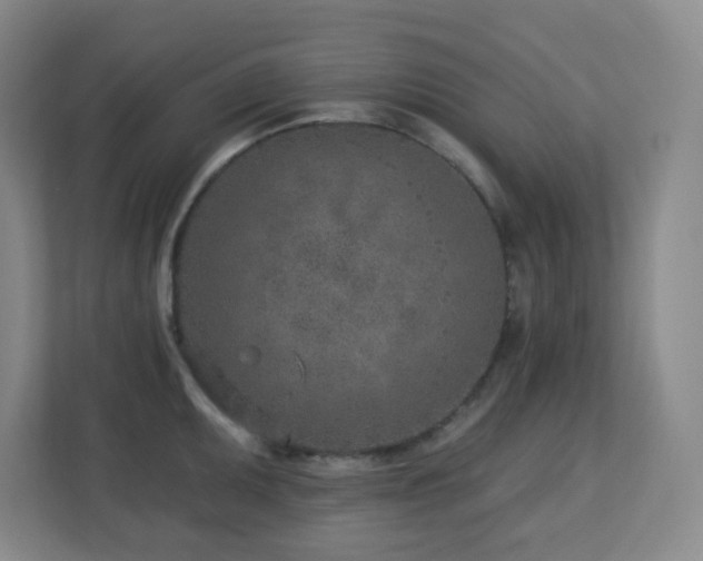 X0000112761095200908201433