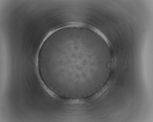 X0000112761099200908201433