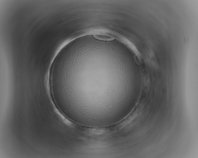 X0000112761103200908201433