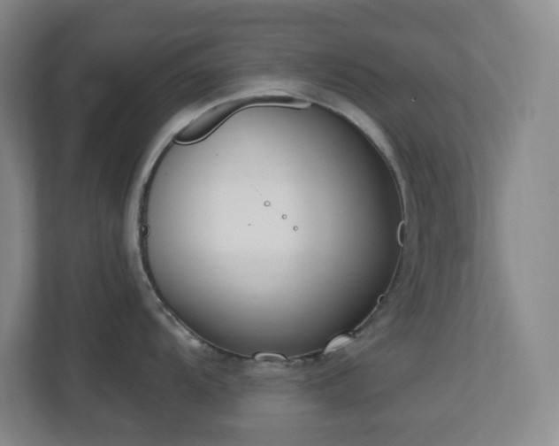 X0000112761104200908201433
