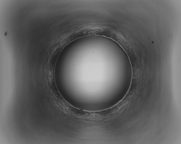 X0000112761109200908201432
