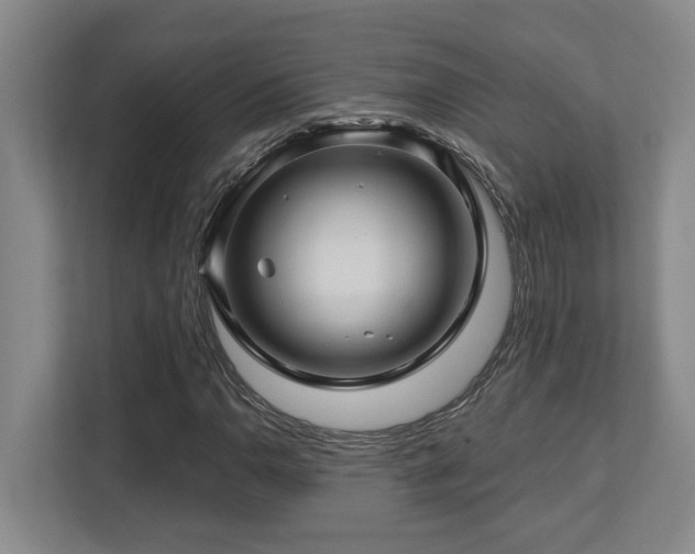 X0000112761110200908201432
