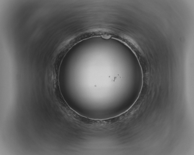 X0000112761111200908201432