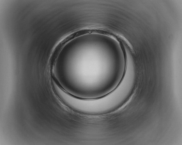 X0000112761114200908201432