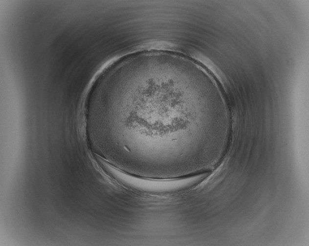 X0000112761115200908201432