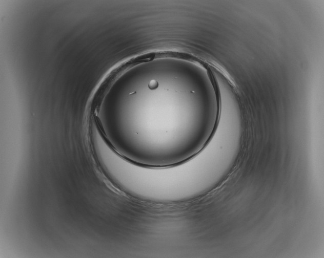 X0000112761116200908201432