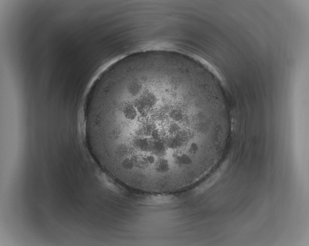 X0000112761117200908201432