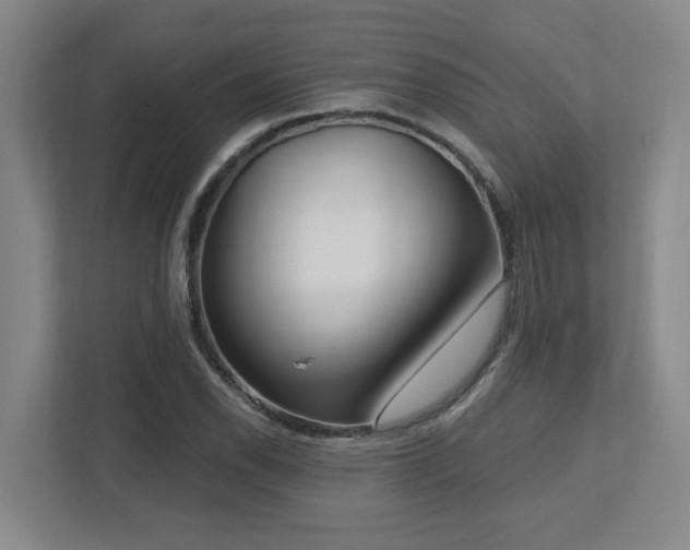 X0000112761118200908201432