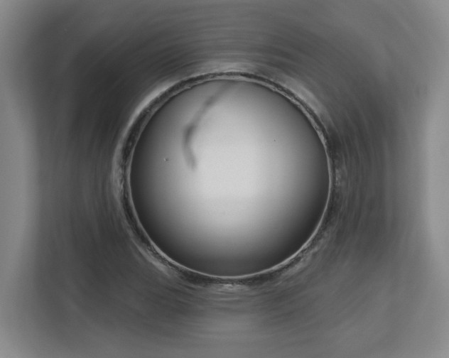X0000112761119200908201432