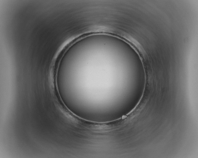 X0000112761120200908201432