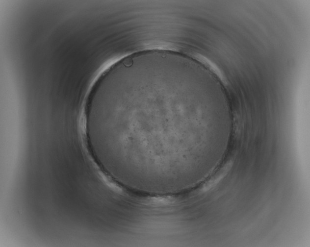 X0000112761125200908201432