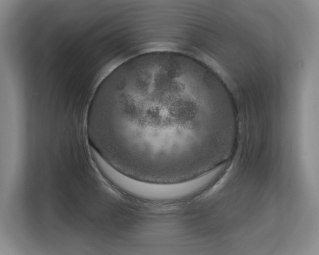 X0000112761129200908201432