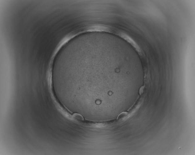 X0000112761130200908201432