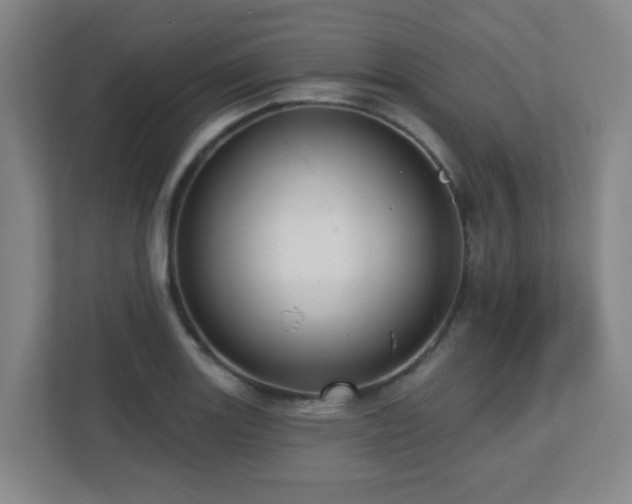 X0000112761131200908201432
