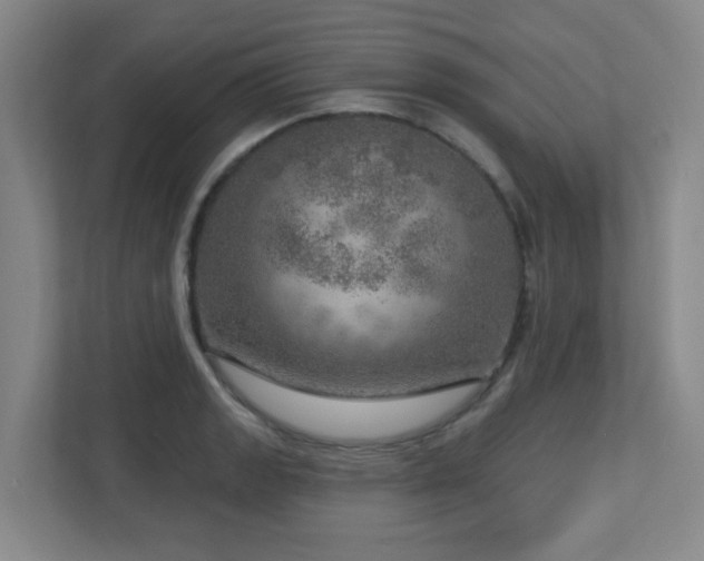 X0000112761133200908201432
