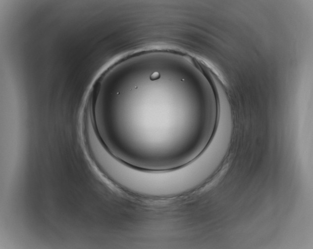 X0000112761134200908201432