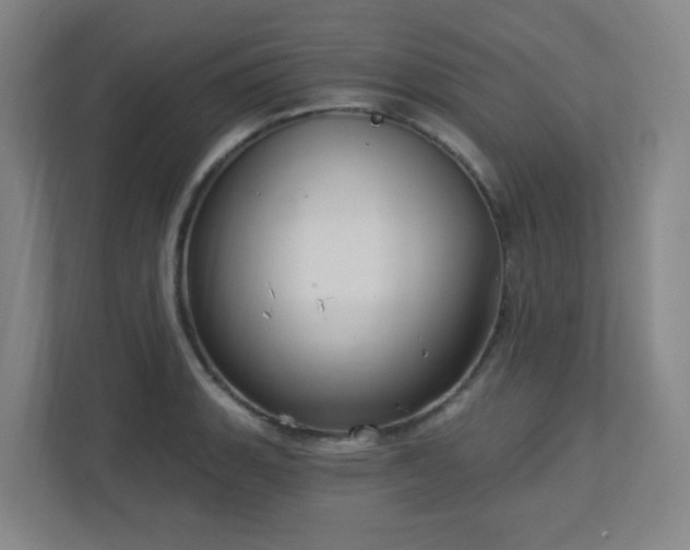 X0000112761135200908201432